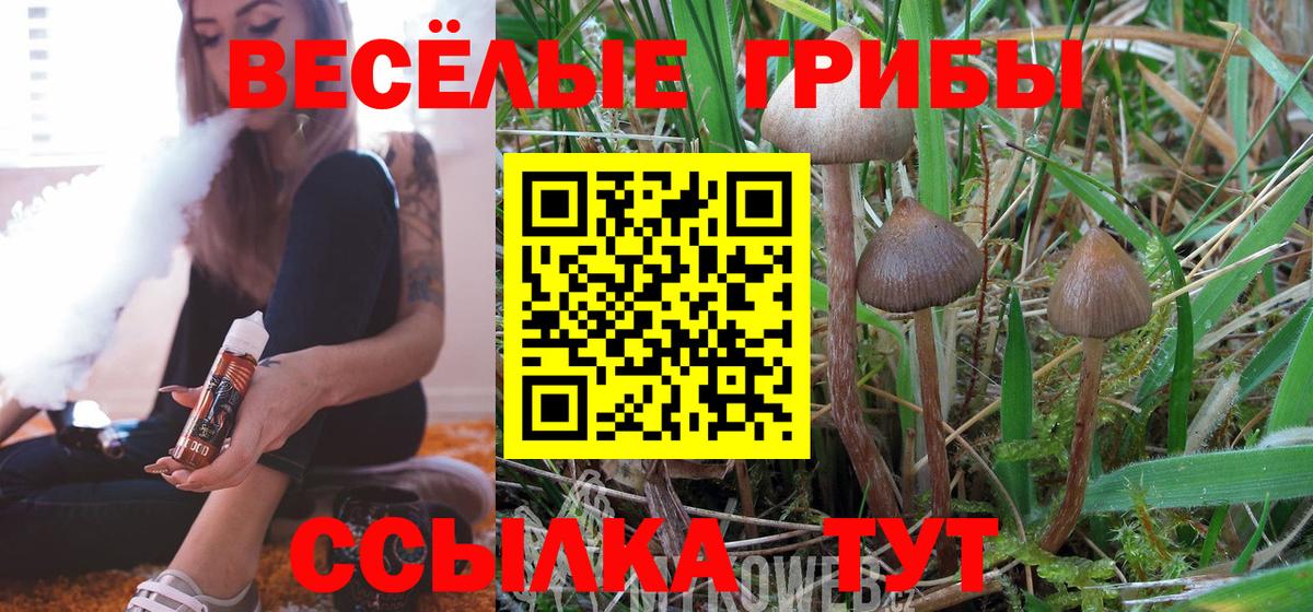 Мефедрон кристаллы  Экстази  А ПВП СК   Канаш  Вход с VPN  Марихуана  АМФЕТАМИН   ГАШ 