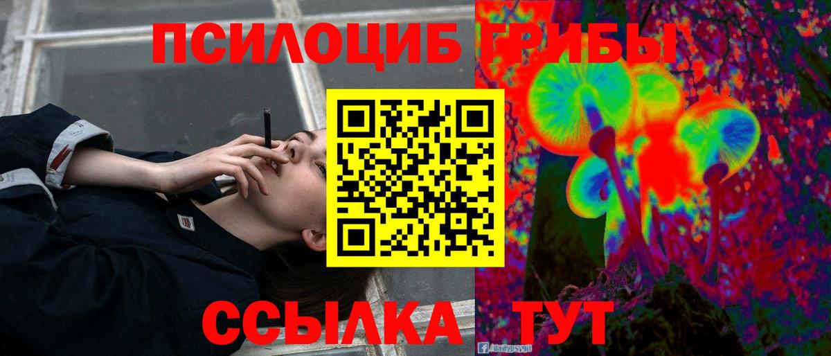 Псилоцибиновые грибы Psilocybine cubensis  Вход с VPN  Канаш 